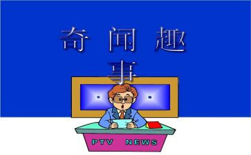 春节趣事作文800字作文5篇
