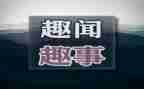 暑假趣事的作文模板7篇