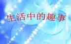 我的趣事600字作文7篇