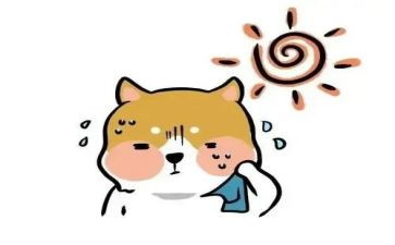 热带雨林去探险的作文7篇