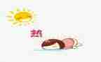 关于炎热的夏天的作文7篇