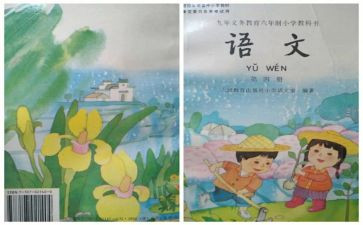 个人教师年度工作总结最新8篇