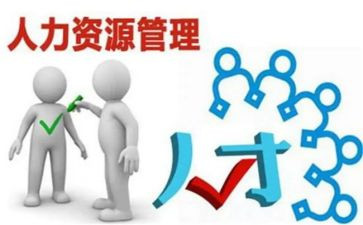 人力工作个人总结优质5篇