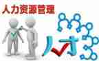 人力工作个人总结优质5篇