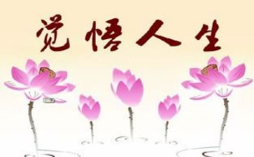 人生800字作文7篇