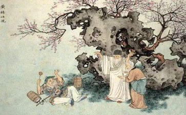 读《儒林外史》心得体会参考7篇