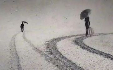 侏罗纪公园三观后感6篇