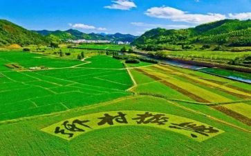 三农问题调研报告5篇