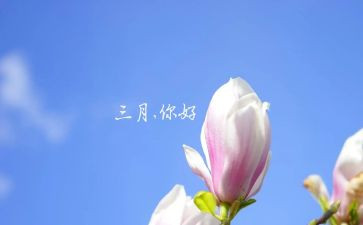 三月份工作计划6篇