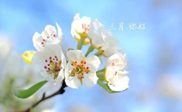 三月学雷锋心得体会5篇