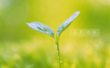 三月读书心得5篇