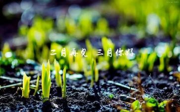 三月教师工作计划7篇