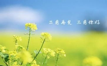 中班三月工作计划8篇