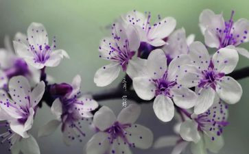 三月份销售工作总结8篇