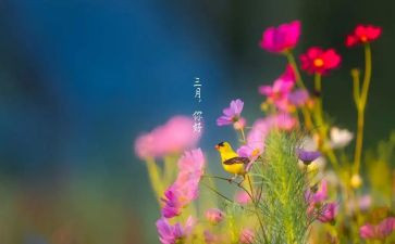 幼儿园三月份的工作总结最新7篇