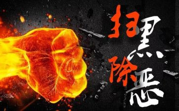 扫黑除恶2024年度工作总结5篇