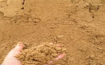 《撒哈拉的沙漠》读后感7篇