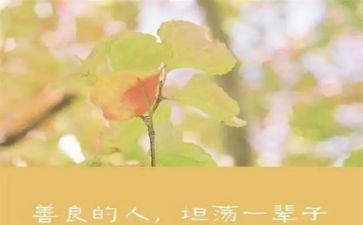 关于善的温暖作文400字6篇