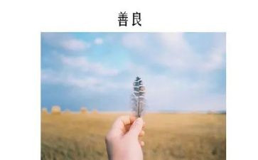善与恶的心得体会通用7篇