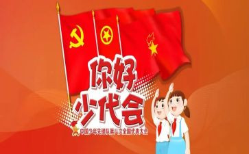 少代表工作报告5篇