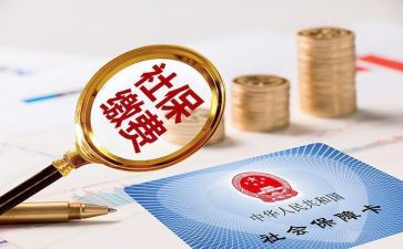 社保工作总结个人总结8篇