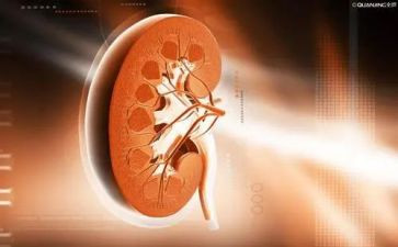 肾内科的个人总结优质7篇