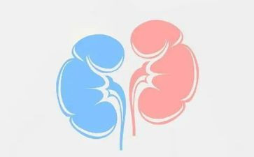 2024年肾内科工作总结精选6篇