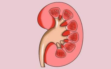肾内科个人总结优质7篇
