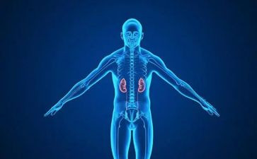 肾内科个人总结参考8篇