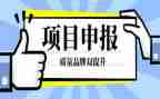 工程师职称申报工作总结8篇