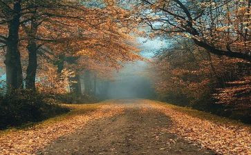 记忆深处的作文800字作文参考6篇