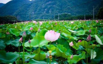 生活部的工作计划范文6篇