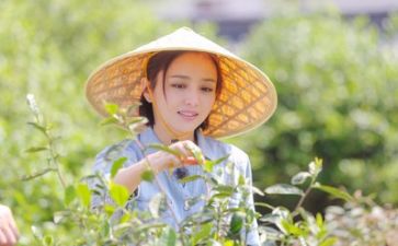生活调查报告参考8篇
