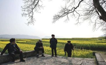 体会生活心得体会优质8篇