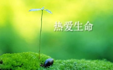 生命读后感7篇