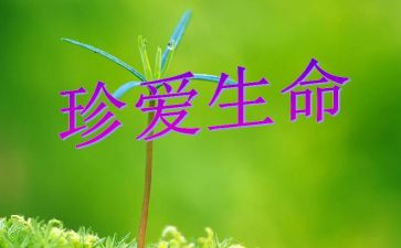 关于生命安全的演讲稿7篇