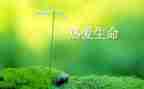 生命读后感7篇