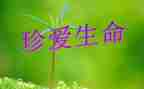 爱是生命的读后感400字5篇