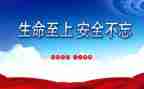 生命至上的作文8篇