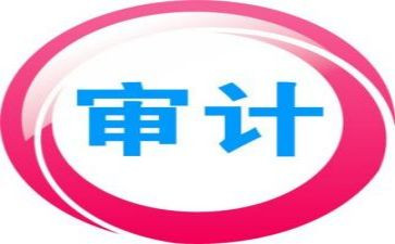2024年审计工作半年总结7篇