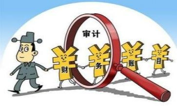 年度审计工作报告总结优质5篇