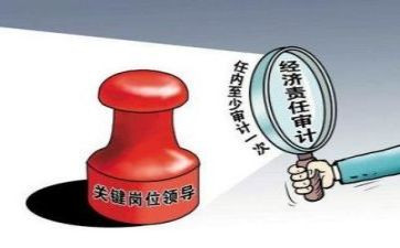 审计2024年工作总结精选7篇