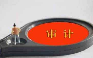 20237审计工作报告优秀7篇