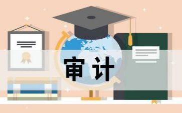 审计2024年工作总结8篇