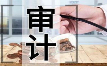 审计所工作计划参考7篇