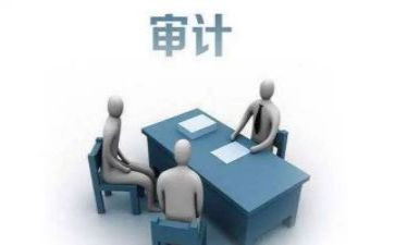 审计所工作计划模板6篇