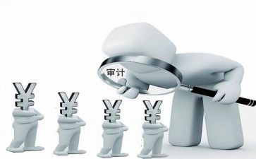 财务审计股工作总结模板7篇