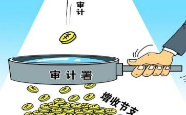 财务审计股工作总结8篇