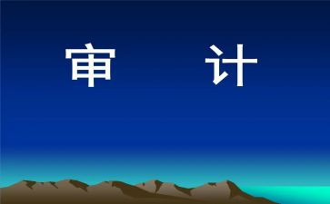 审计组工作总结模板6篇