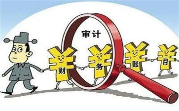 审计的调查报告7篇